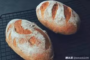 全麥核桃包～軟歐包