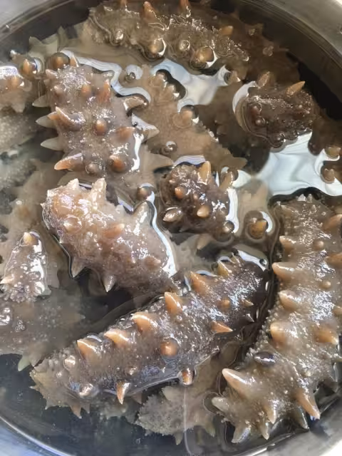 教你最正確好用的「海參泡發方法」