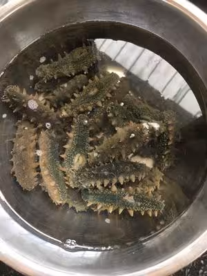 教你最正確好用的「海參泡發方法」
