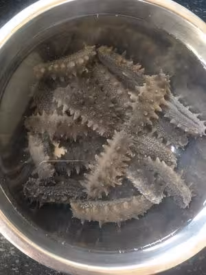 教你最正確好用的「海參泡發方法」