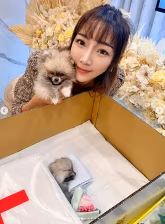 「化妝去愛犬告別式」挨轟還笑得出來!李宓PO崩潰一幕:我是專業演員