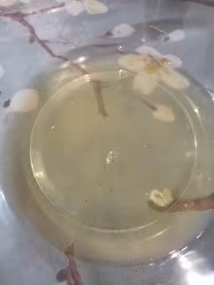 蒸蛋糕【失敗N次成功版 好吃不上火】