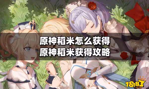 原神稻米怎麼獲得 原神稻米獲得攻略