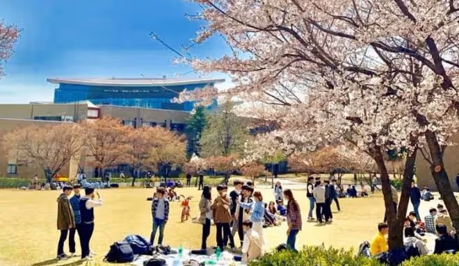 去韓國留學居然還有用中文授課的課程?