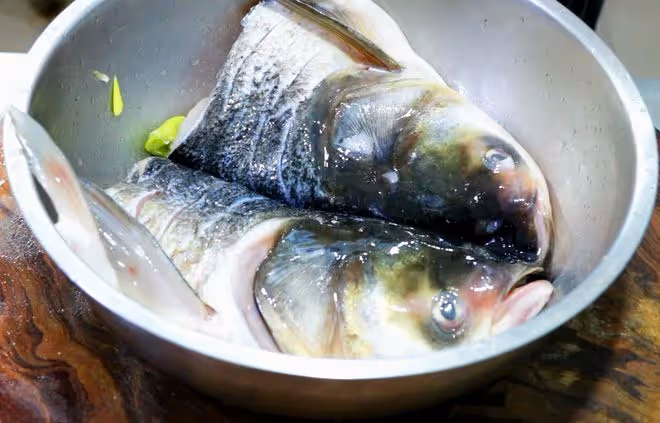 「蛋白質吃得好，長壽跑不了」！分享4道高蛋白食譜，早吃早受益