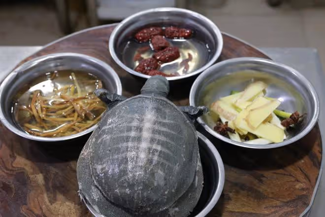 三伏「進補」有講究,建議男人:多吃這5種食物,健康度過三伏天