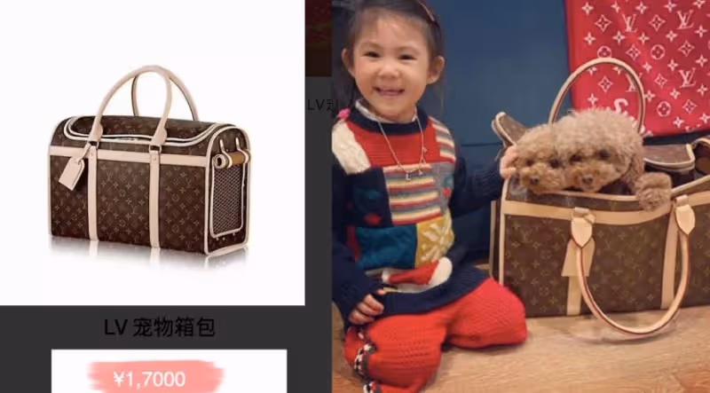 5歲就接4個代言,身價直逼千萬,陳冠希女兒潮出圈,網友:比媽媽還有氣質