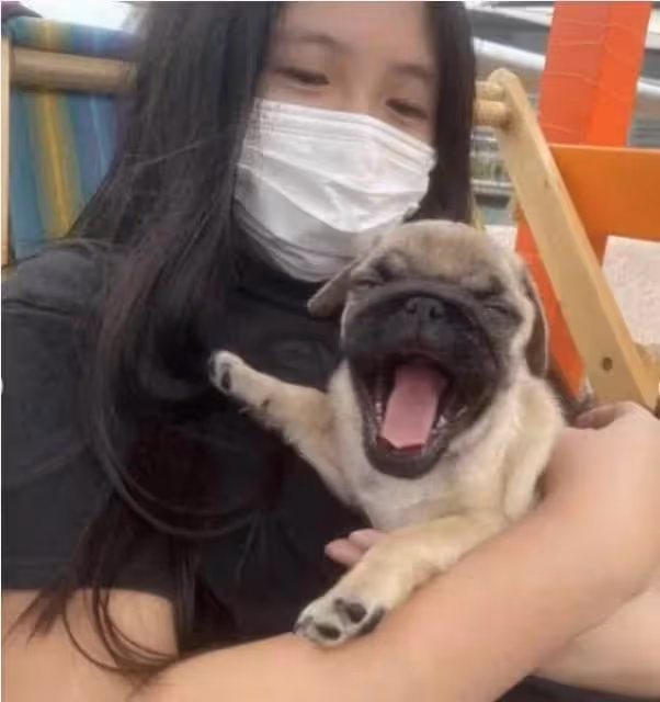 邱淑貞小女兒罕見露面!素顏出鏡五官與媽媽相似,穿短褲秀白皙美腿,秀髪飄逸性感十足,網友:是天生的美人胚子