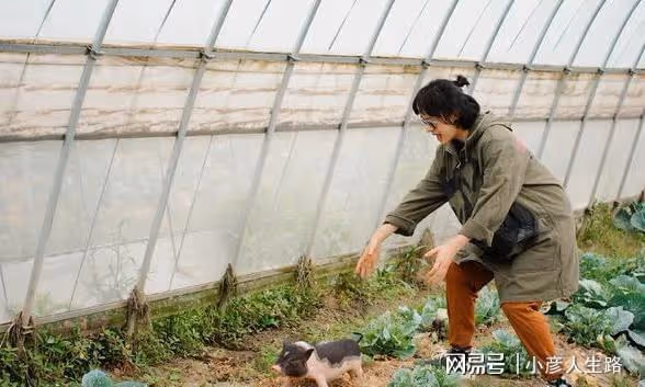 演員孫儷：婚後家庭歡樂多，菜棚抓豬接地氣，網友：越長越像鄧超