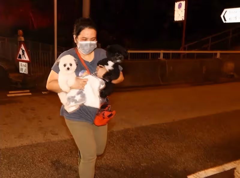 林青霞豪宅大火已撲滅：18個傭人抱寵物出逃，屋內有3部電梯