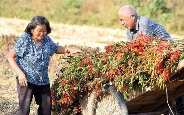 哥哥結婚,我大方塞13萬份子錢 當天晚上母親來電責罵:只隨禮2000,你好意思嗎?