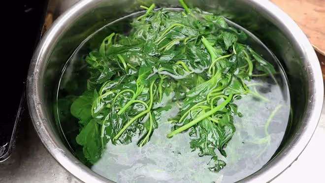 建議中老年人:想要身體好,補鈣少不了,常吃5種食物,健康過夏