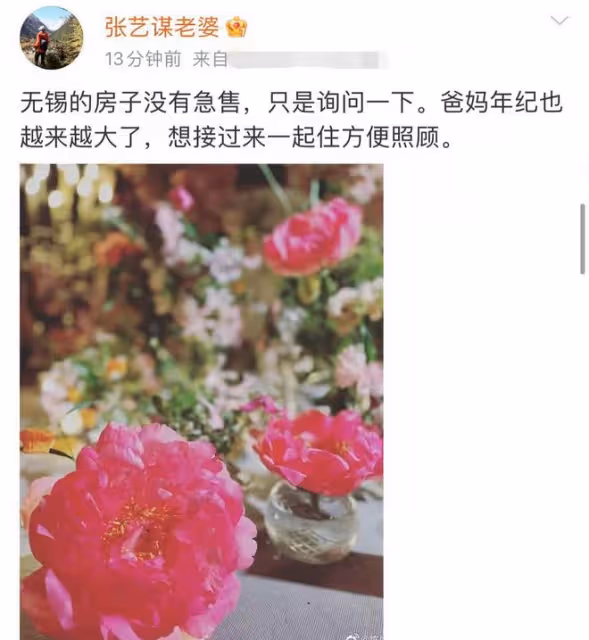 張藝謀愛妻回應急售無錫別墅!承認諮詢中介,賣房原因和家庭有關