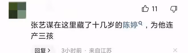 曝張藝謀急售無錫臨湖別墅,3000萬大甩賣,中介稱僅裝修花500萬