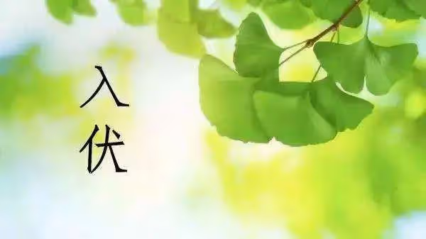 7月16入伏，吃飯先「忌姜」！建議:多吃「2豆2肉」，順利過三伏天