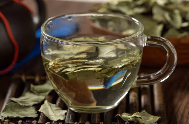 三伏天悶熱濕氣重,多給家人吃這6種食物,祛濕防暑,健康度夏