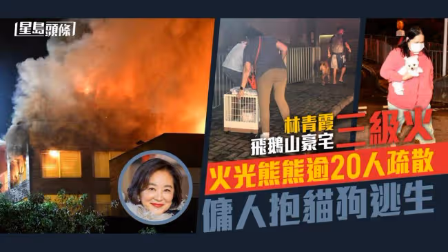 一把火燒出了林青霞的豪宅和她的奢侈生活