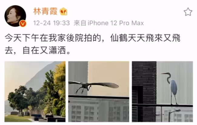 一把火燒出了林青霞的豪宅和她的奢侈生活