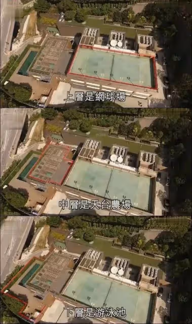 一把火燒出了林青霞的豪宅和她的奢侈生活