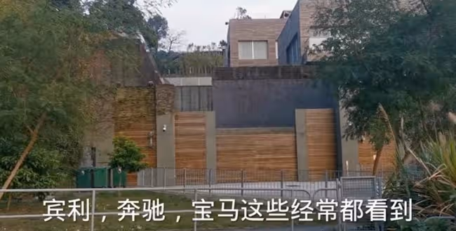一把火燒出了林青霞的豪宅和她的奢侈生活