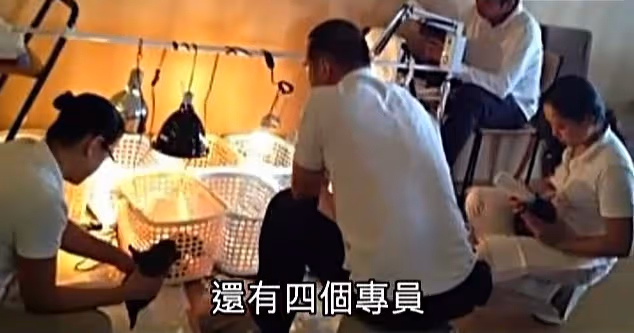 一把火燒出了林青霞的豪宅和她的奢侈生活