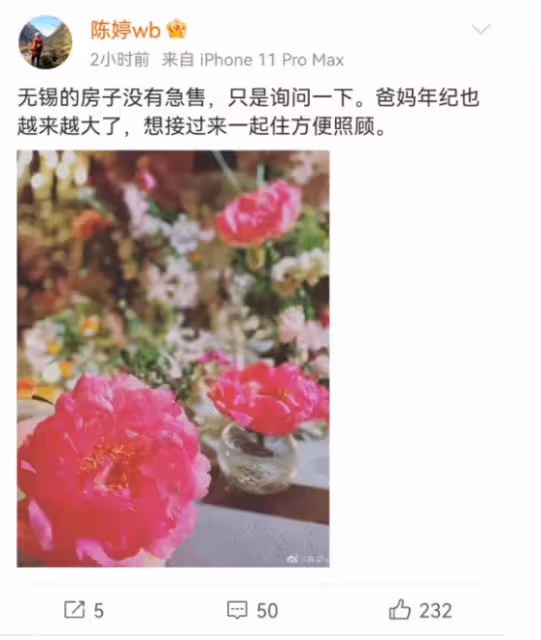 張藝謀3000萬急售豪宅上熱搜!其妻出面回應了