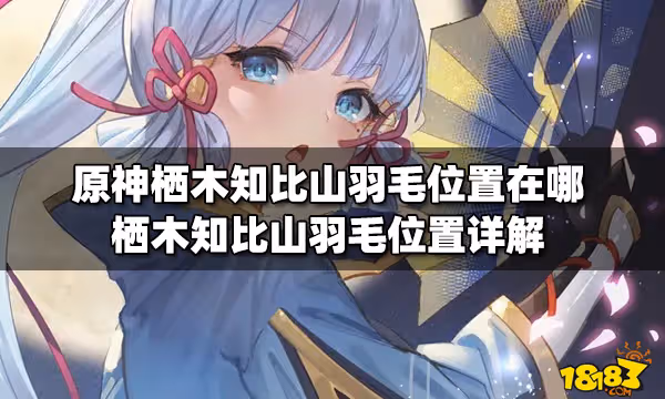 原神棲木知比山羽毛位置在哪 棲木知比山羽毛位置詳解