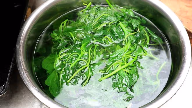 「入伏吃四草,不把醫生找」,夏天多吃這4種野菜,順利過伏天