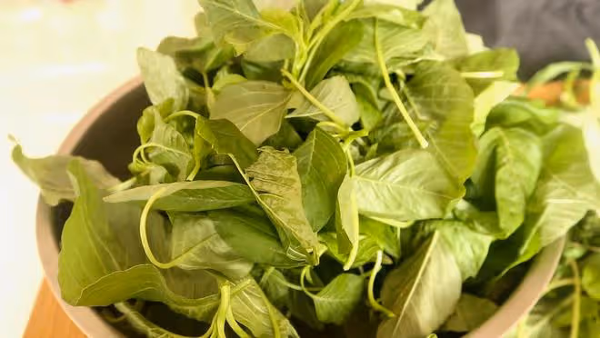 「入伏吃四草，不把醫生找」，夏天多吃這4種野菜，順利過伏天