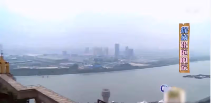張庭黃浦江邊「480坪豪宅」壕無人性!2層空中花園,露台裝飾像皇宮「230萬/坪做菜園」