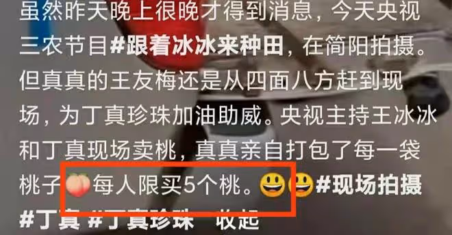 王冰冰丁真街頭賣桃，席地而坐汗直流，每人限購五個兩小時全賣光