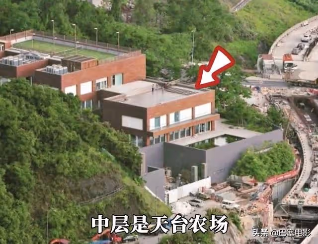 意外暴露家底,細看67歲林青霞資產,實力詮釋什麼叫「人生贏家」