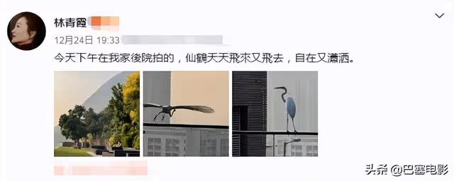 意外暴露家底,細看67歲林青霞資產,實力詮釋什麼叫「人生贏家」