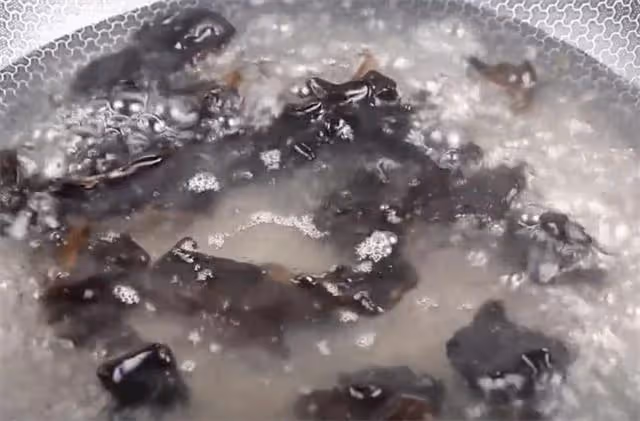 馬齒莧夏天新吃法，不炒不涼拌，做出來好看又好吃，比肉還解饞