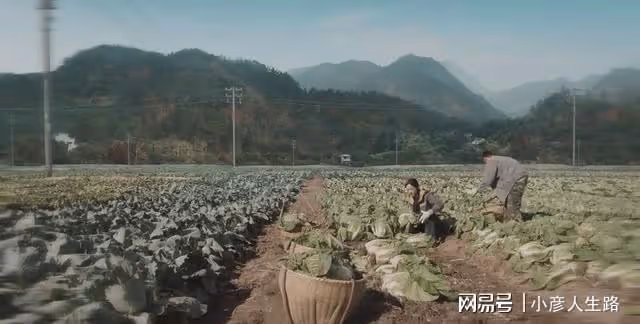 看到王慶來回農村後依依不捨的樣子，一下子理解他了，他也挺可憐