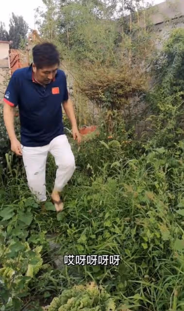港星林威回河北農村別墅!僅2個月菜地長滿草,67歲長居內地發展