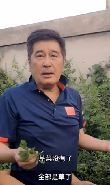 港星林威回河北農村別墅!僅2個月菜地長滿草,67歲長居內地發展