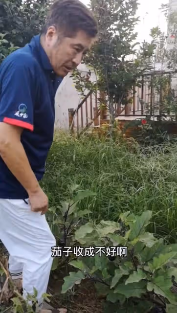 港星林威回河北農村別墅!僅2個月菜地長滿草,67歲長居內地發展