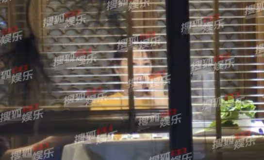 張衛健老婆近照發福變化大,把貓當兒子生活愜意,久居內地住豪宅