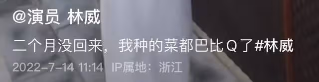 67歲港星林威回河北農村住宅,院內雜草比人高,菜地荒蕪滿臉絕望