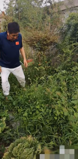 67歲港星林威回河北農村住宅,院內雜草比人高,菜地荒蕪滿臉絕望