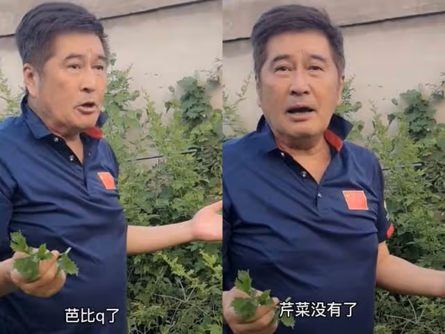 67歲港星林威回河北農村住宅,院內雜草比人高,菜地荒蕪滿臉絕望