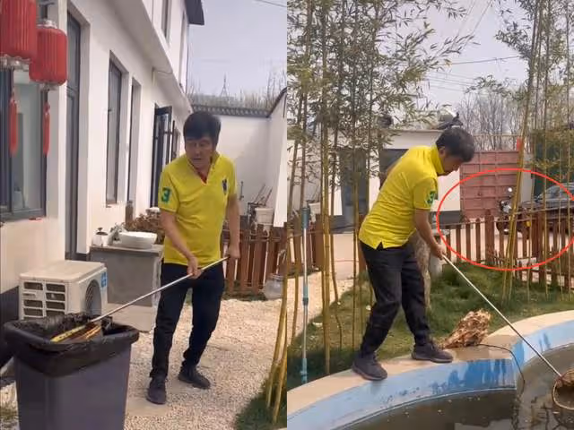 67歲港星林威回河北農村住宅,院內雜草比人高,菜地荒蕪滿臉絕望