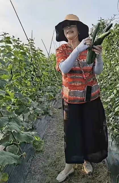 陳赫與家人外出採摘蔬菜,鐵鏟蔬菜擺滿一箱,與妻子罕同框太甜蜜
