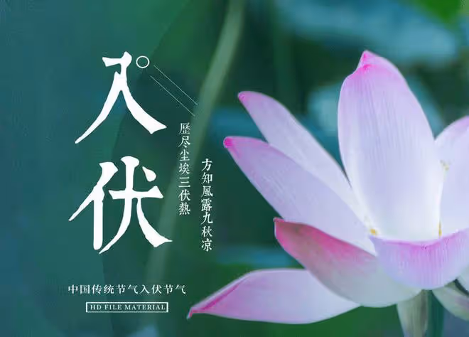 明日入伏,再忙也別忘吃「1紅2白3綠」,調整飲食,三伏天少遭罪