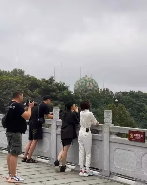 路人鏡頭下的魯豫,骨頭人身材把女明星襯成壯碩阿姨,164不到40公斤,變大頭娃娃