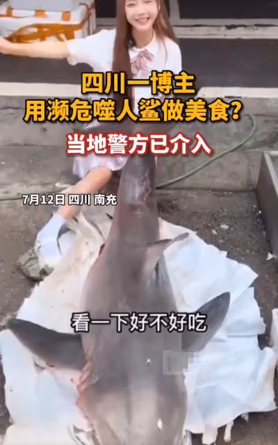 百萬網紅疑烹食二級保護動物!用大白鯊做美食,大口啃咬畫面可怖