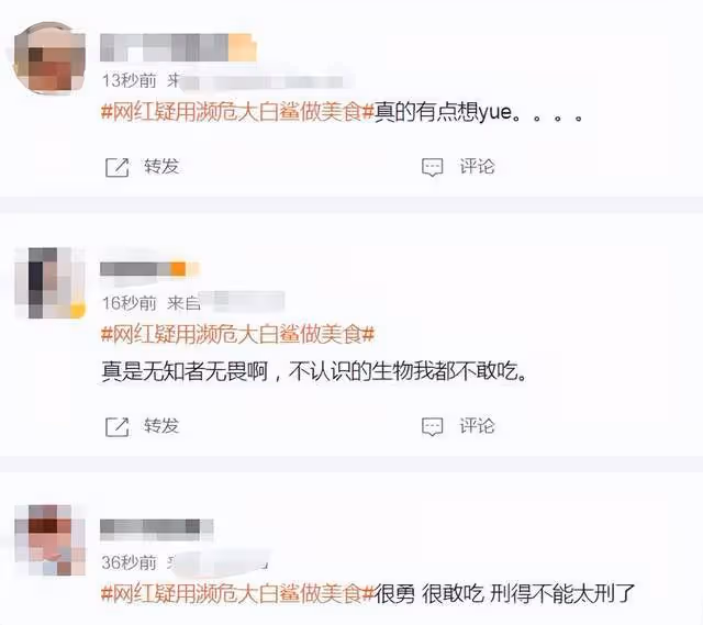 百萬網紅疑烹食二級保護動物！用大白鯊做美食，大口啃咬畫面可怖