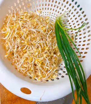 炒豆芽（下飯、簡單家常菜）
