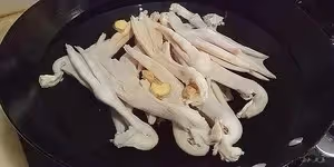 酸蘿蔔鴨掌湯
